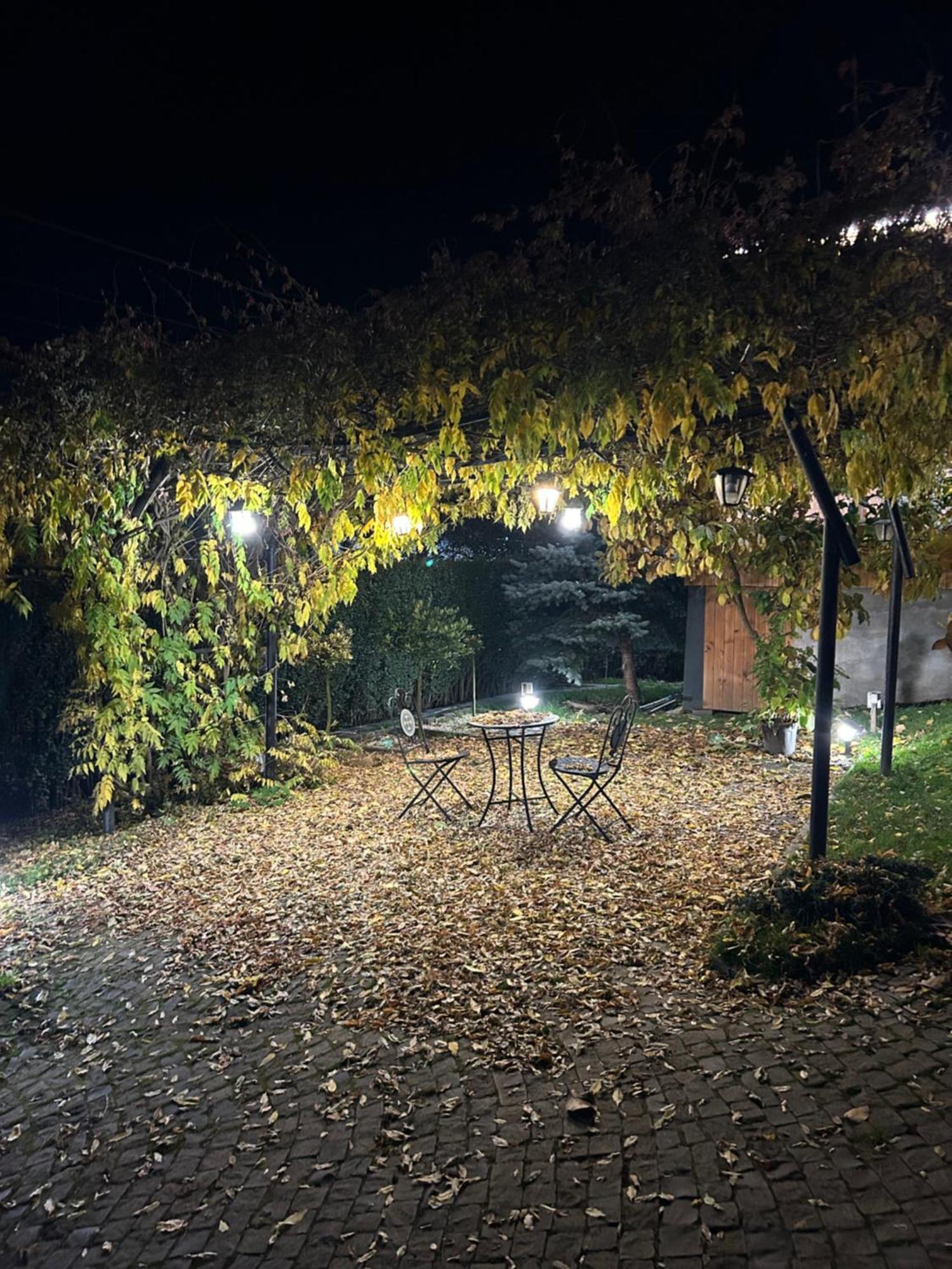 Hotel Casa Cu Magnolii Poienile Izei Exterior foto