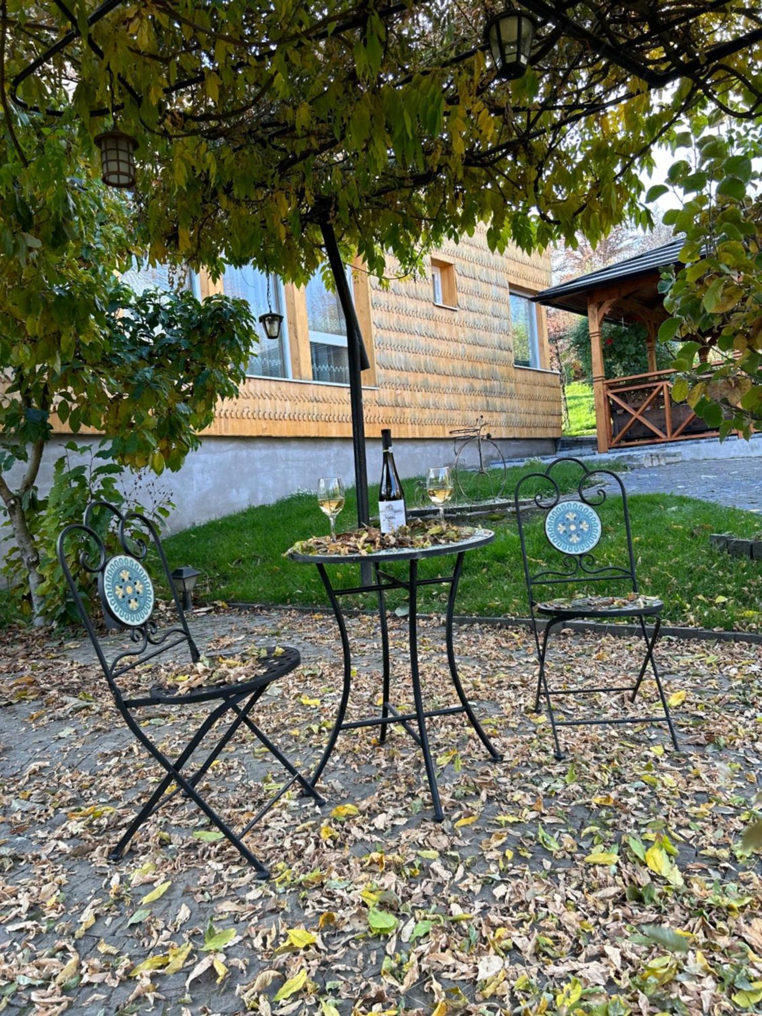 Hotel Casa Cu Magnolii Poienile Izei Exterior foto